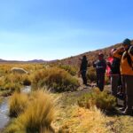 parque nacional.jpg 1440x2000 q70 subsampling 2