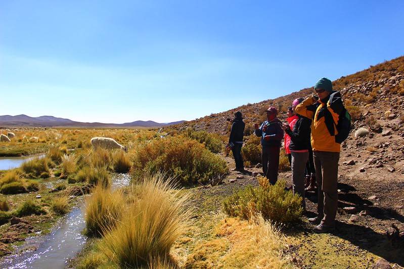 Recuerda que este verano las entradas a Parques Nacionales se venderán vía web 1 parque nacional.jpg 1440x2000 q70 subsampling 2