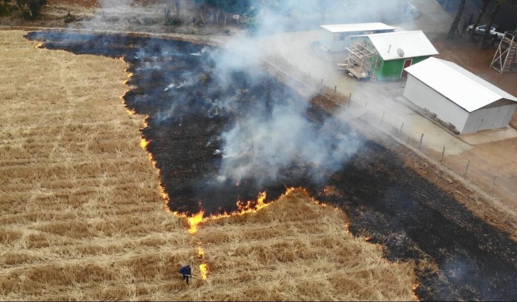 Fiscalía formalizó a imputado por encender fuego en su predio agrícola en la comuna de Teno 1 F1 Viejo tonto e1708046604694