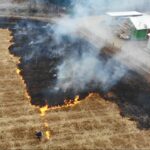 F1 Viejo tonto e1708046604694