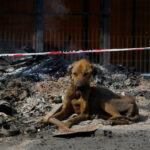 WhatsApp Image 2024 02 21 at 11.40.06