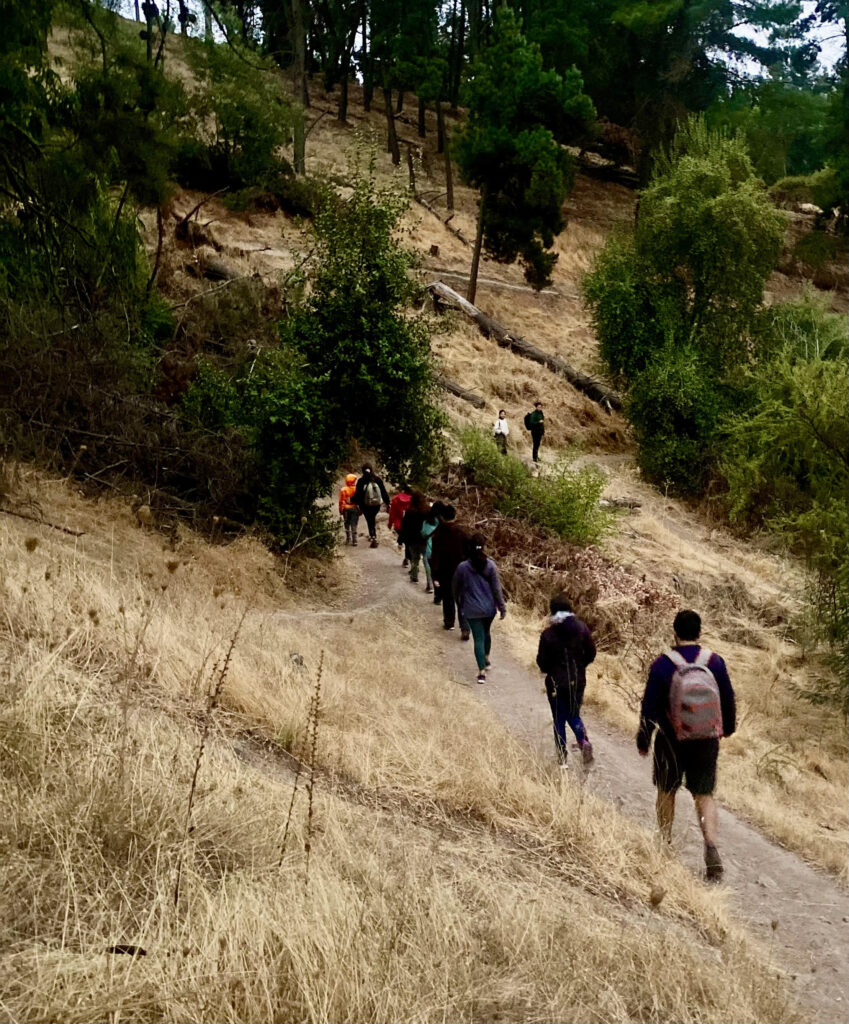 Se realizó “Trekking al amanecer” en el Cerro Carlos Condell de Curicó 1 AMANECER