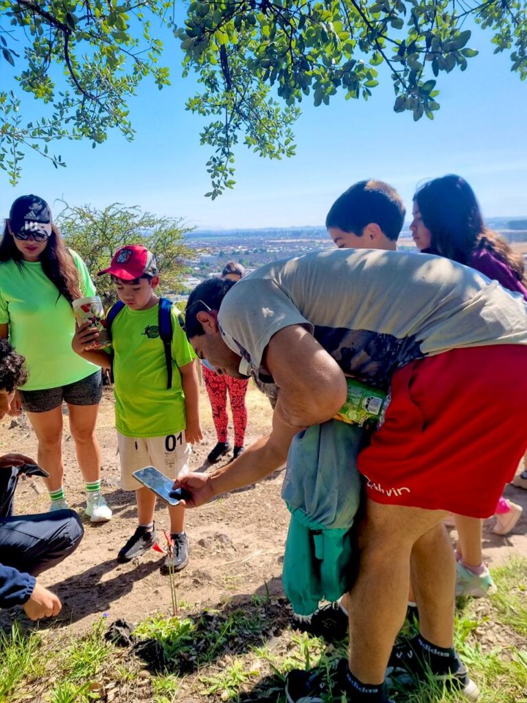 Siguen las actividades en el Cerro Condell de Curicó 1 CERRO HOY