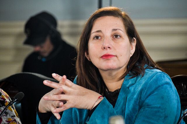 Senadora Vodanovic promueve Ley para prisión preventiva en delitos con armas que afecten a menores 1 WhatsApp Image 2024 04 04 at 16.25.42 1