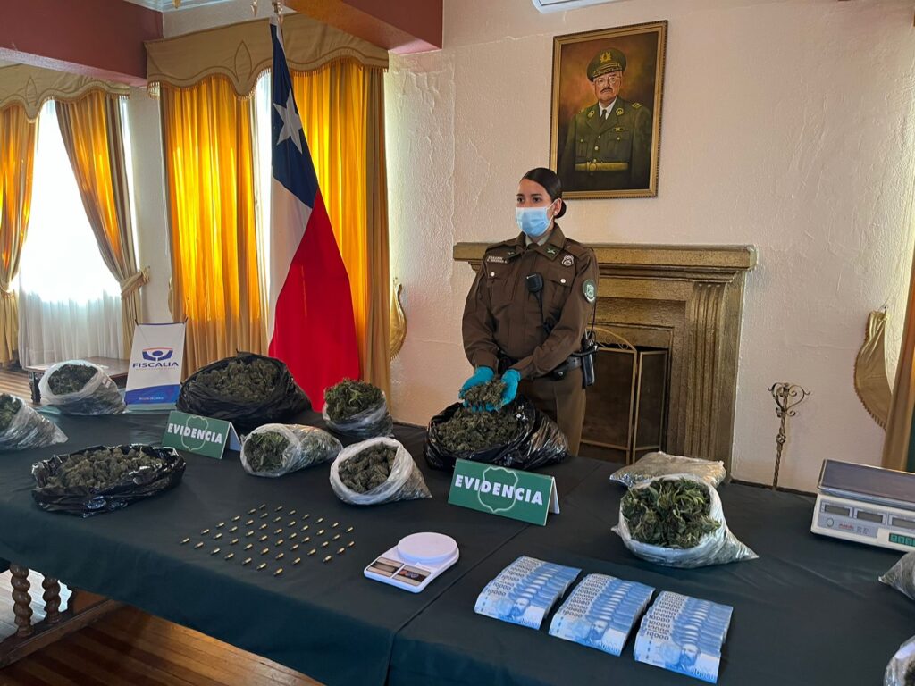 Narco agricultores fueron detenidos con 14 kilos de marihuana en la comuna de Molina 1 WhatsApp Image 2024 04 10 at 16.53.27