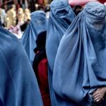 2700039977 46735345 1300x731