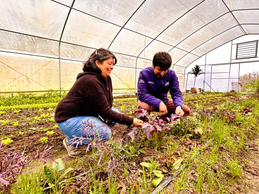 Pequeña Agricultura Familiar Campesina de la región del Maule recibe más de $100 millones para tecnificar sus sistemas de riego 1 WhatsApp Image 2024 09 23 at 10.06.54
