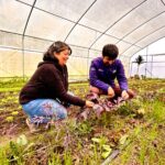 WhatsApp Image 2024 09 23 at 10.06.54