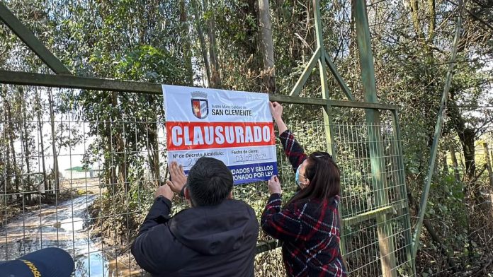 Clausuran guanera en San Clemente por funcionamiento irregular y falta de permisos 1 f41d4abb 4373 45da 99e9 39ec0f3c988c 696x392 1