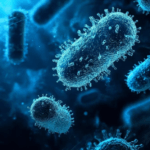 Superbacterias resistentes a los antibióticos podrían causar 40 millones de muertes en 25 años, advierte estudio 10 superbacterias 1