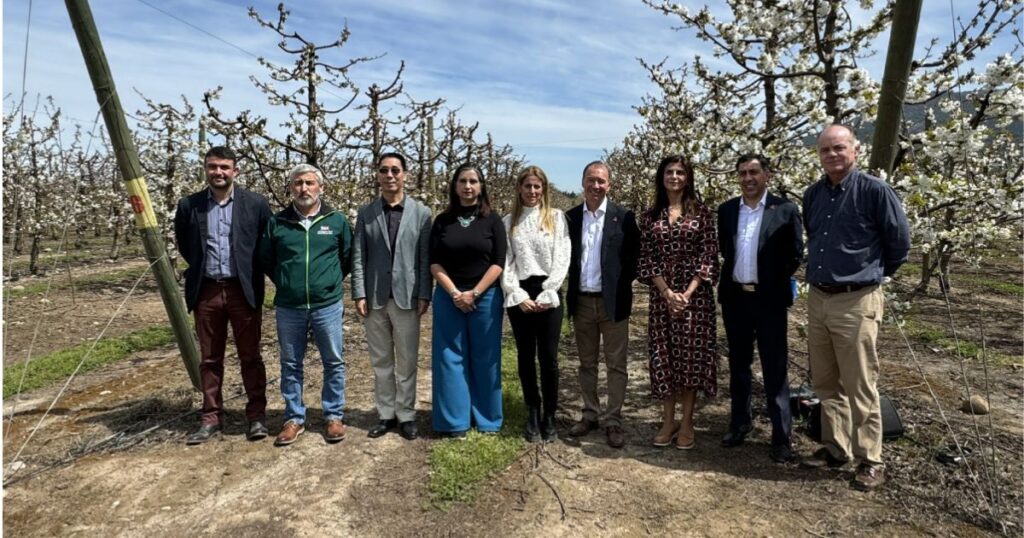 Copia de IMAGEN DESTACADA MEDIAINFO 2 1