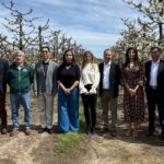Chile proyecta exportación récord de cerezas con un aumento del 59% 12 Copia de IMAGEN DESTACADA MEDIAINFO 2 1