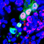 Copia de IMAGEN DESTACADA MEDIAINFO 2
