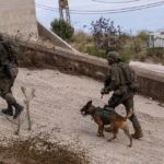 Copia de IMAGEN DESTACADA MEDIAINFO 45