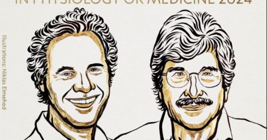 Victor Ambros y Gary Ruvkun ganan el Premio Nobel de Medicina 2024 por el descubrimiento del microARN 1 Premio Nobel