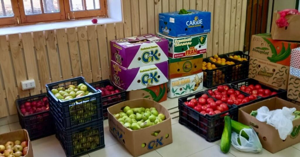 Por tercera temporada consecutiva el EcoMercado Solidario entregará alimentos gratuitos a miles de hogares de Linares 1 Ecomercado solidario Linares
