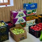 Ecomercado solidario Linares