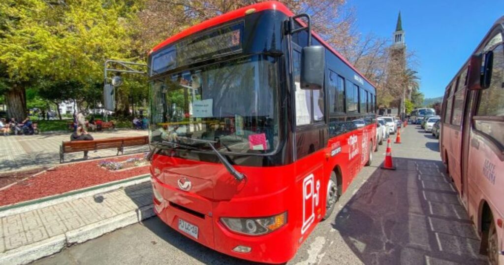 Los “buses rojos” de cumpleaños: Cuatro años cumple el sistema de transporte gratuito de Talca con más de 500 mil usuarios movilizados 1 Talca 3