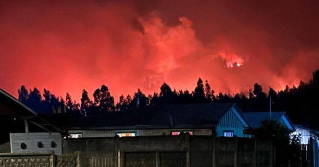 Autoridades coordinan esfuerzos ante incendio forestal en Traiguén 1 Incendio Traiguen
