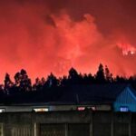 Autoridades coordinan esfuerzos ante incendio forestal en Traiguén 11 Incendio Traiguen