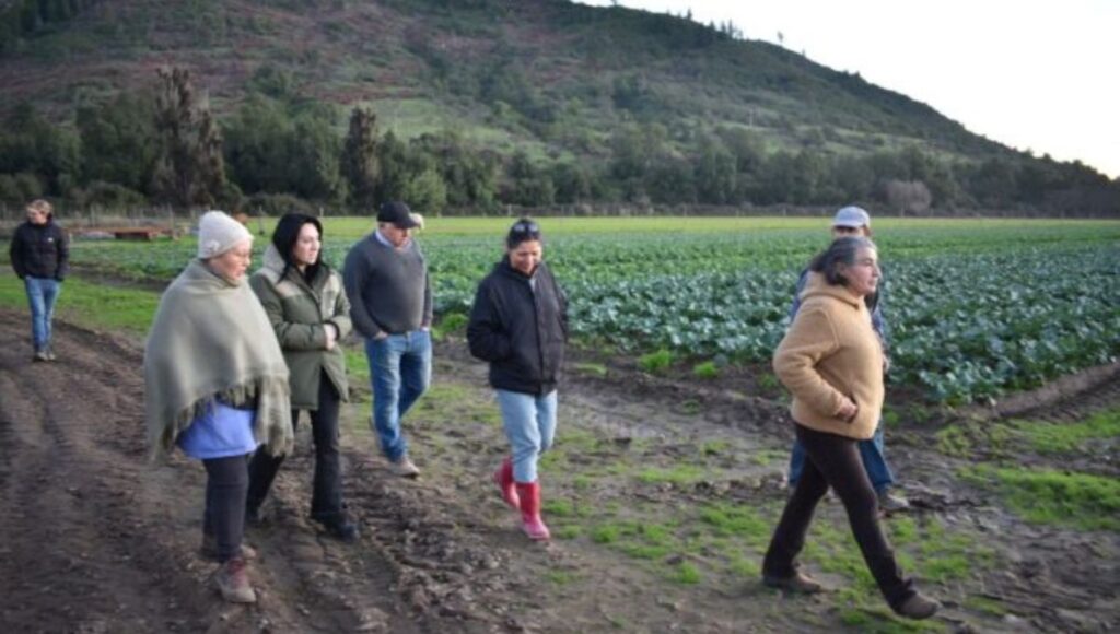 Gobernadora Regional se reunió con agricultores afectados por temporal en Curepto 1 Portada Noticias 22