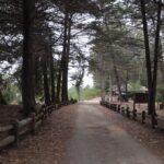 CONAF se suma al Día de los Patrimonios 2025 con acceso gratuito a parques y reservas naturales 12 CONAF se suma al Dia de los Patrimonios 2025 con acceso gratuito a parques y reservas naturales