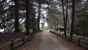CONAF se suma al Dia de los Patrimonios 2025 con acceso gratuito a parques y reservas naturales