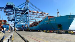 Exportaciones del Maule crecieron un 15 en marzo y superaron los 216 millones de dolares