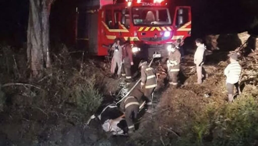 Hallan cuerpo sin vida en sector rural de Molina durante la madrugada 1 Hallan cuerpo sin vida en sector rural de Molina durante la madrugada