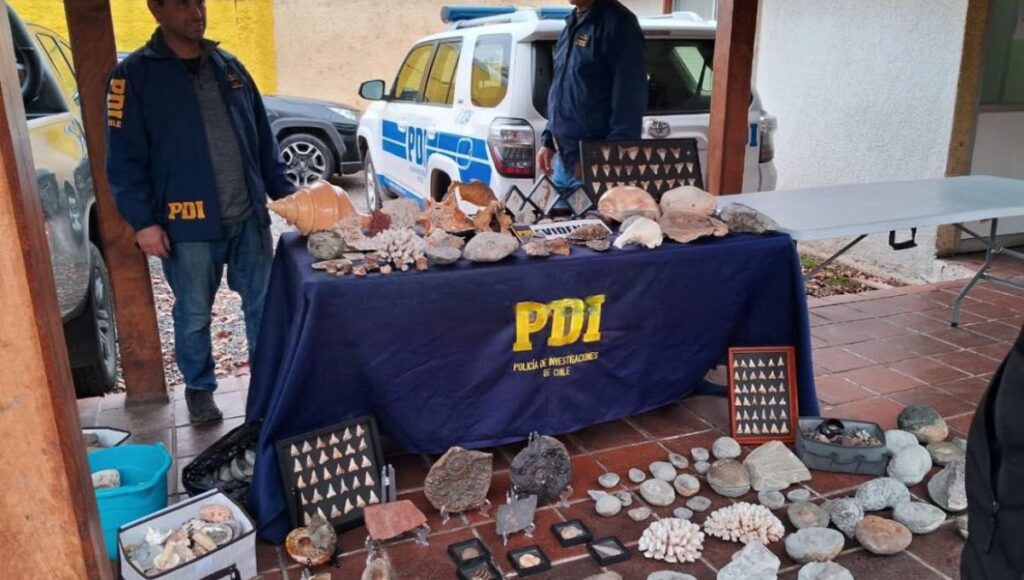 PDI incauta mas de 300 piezas arqueologicas y fosiles en operativo realizado en Curico