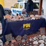 PDI incauta mas de 300 piezas arqueologicas y fosiles en operativo realizado en Curico