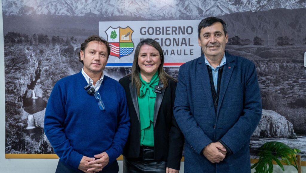 Tras 83 años de espera: Consejo Regional del Maule aprueba por unanimidad el primer Plan Regulador para la comuna de Rauco 1 Plan Regulador de Rauco
