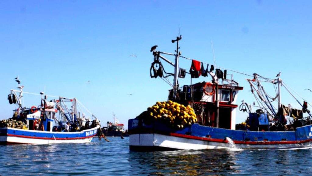 Comisión Mixta define nuevo reparto pesquero: 55% de la merluza común irá al sector industrial 1 Comision Mixta define nuevo reparto pesquero 55 de la merluza comun ira al sector industrial