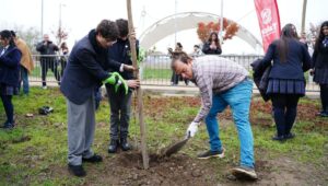 Talca conmemora el Dia Mundial del Medio Ambiente con plantacion de 50 arboles nativos en el Parque Piduco