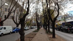 Talca relanza consulta ciudadana sobre royecto de Nueva Diagonal Isidoro del Solar