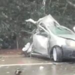 Fatal colision entre vehiculo menor y camion deja un fallecido en la Ruta L 30M sector Nirivilo