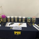 Imputado fue formalizado en Linares por cultivo de marihuana indoor y tenencia ilegal de armas