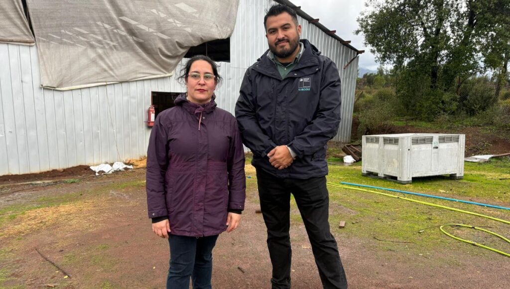 Delegada Aly Valderrama inspecciona perrera municipal de Linares junto a Subdere tras denuncias ciudadanas
