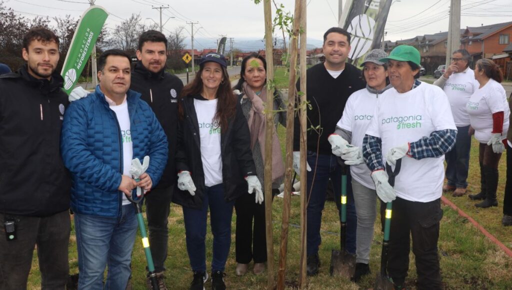 reforestan Molina