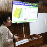 Actualización del catastro vegetal revela que más del 40% de la superficie del Maule está cubierta por bosques 8 Actualizacion del catastro vegetal revela que mas del 40 de la superficie del Maule esta cubierta por bosques
