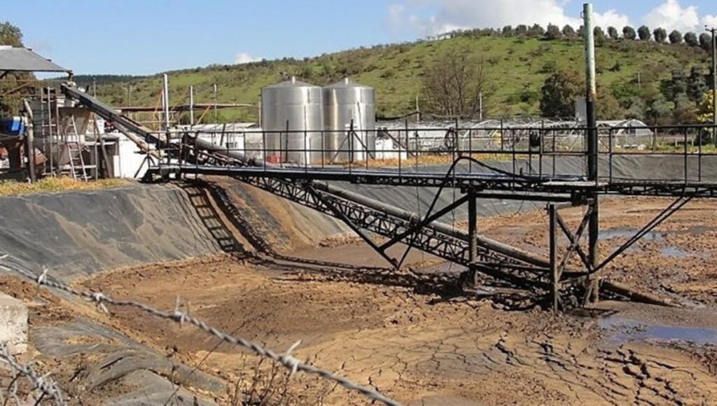 Tribunal Ambiental ratifica multa de 123 millones contra planta de aceite Olivares de Quepu en Pencahue