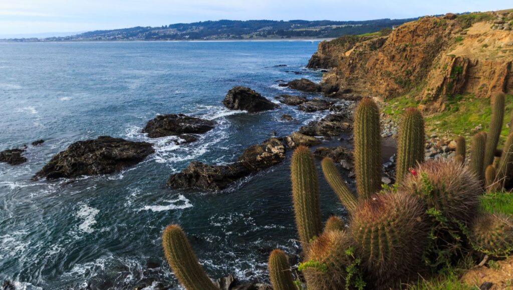 Cerca de mil personas accederan a turismo social en OHiggins gracias a programa financiado por el Gobierno y el CORE