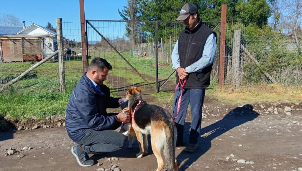 Subdere financiara proyectos de tenencia responsable de animales de compania en la Region del Maule