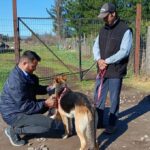 Subdere financiara proyectos de tenencia responsable de animales de compania en la Region del Maule