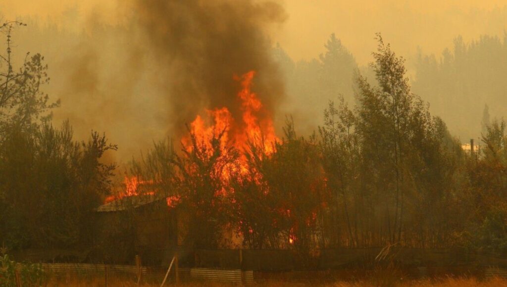 Mujer es formalizada en Pelluhue por originar incendio de pastizales