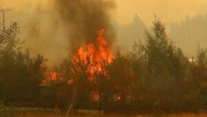 Mujer es formalizada en Pelluhue por originar incendio de pastizales