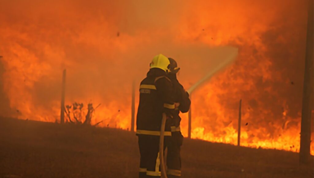 Region de OHiggins despliega masiva cruzada solidaria para apoyar a zonas afectadas por incendios forestales