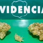 Detienen a sujeto por microtrafico de drogas tras control vehicular en Villa Prat