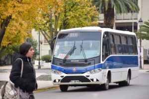 Junaeb denuncia venta ilegal de sellos TNE 2026 y presenta acciones ante la PDI