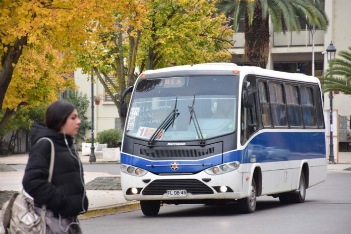 Junaeb denuncia venta ilegal de sellos TNE 2026 y presenta acciones ante la PDI